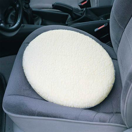 Swivel Cushion #2